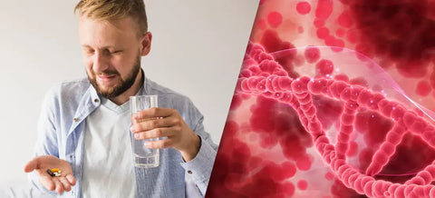 Best Blood Flow Supplements: How Does It Supports Healthy Circulation