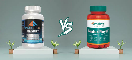 PeakErect vs. Tentex Royal