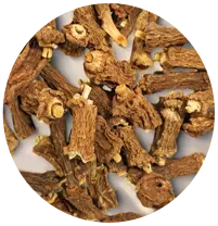 sarsaparilla-extract